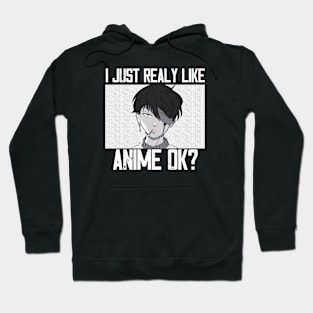 I Just Realy Like Anime Ok Hoodie